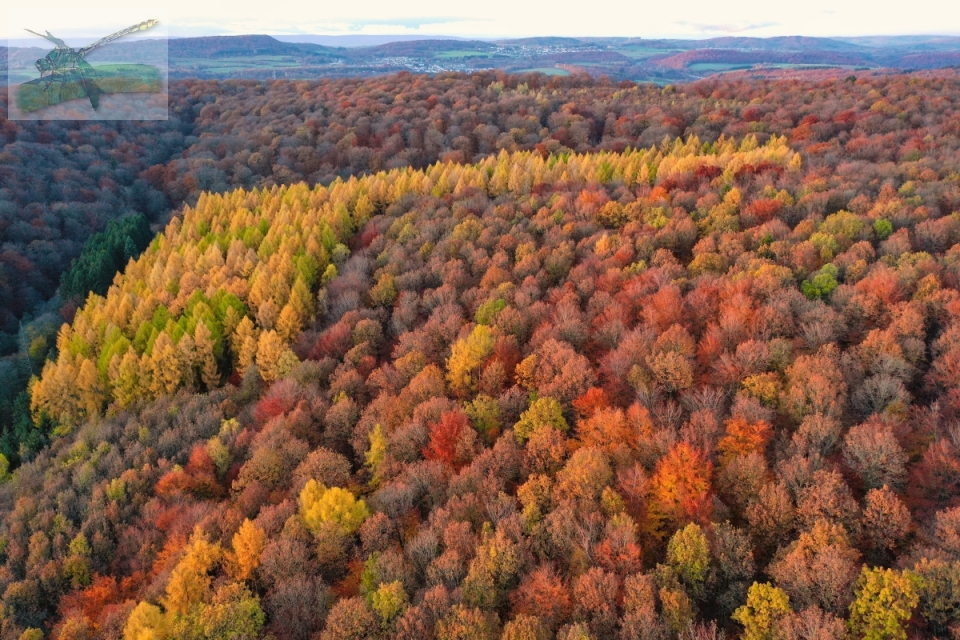 19Nov19-Eppelborn-62